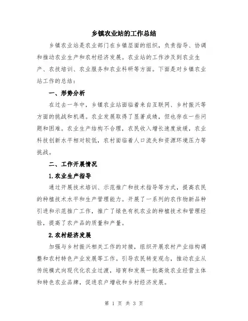 乡镇农业站的工作总结