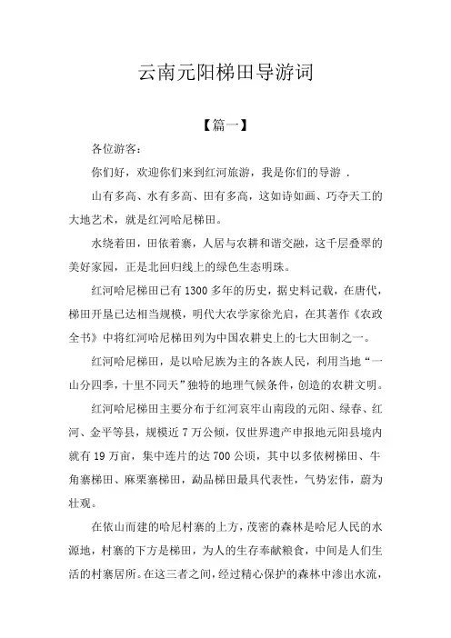 云南元阳梯田导游词