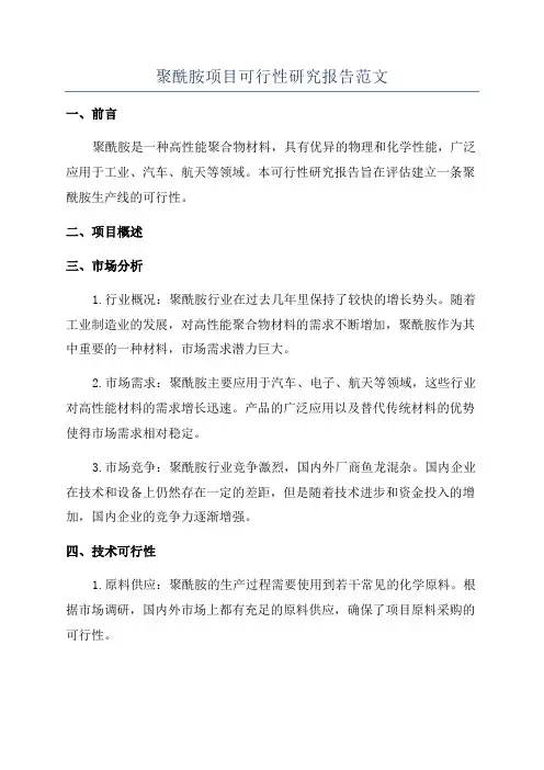 聚酰胺项目可行性研究报告范文