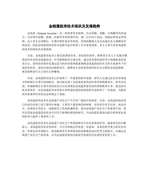 金线莲组培技术现状及发展趋势