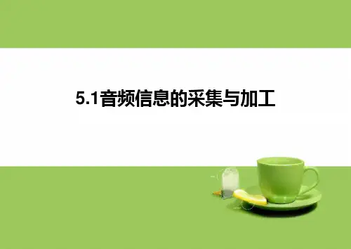 音频视频信息的采集与加工.ppt