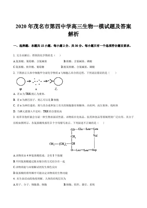 2020年茂名市第四中学高三生物一模试题及答案解析