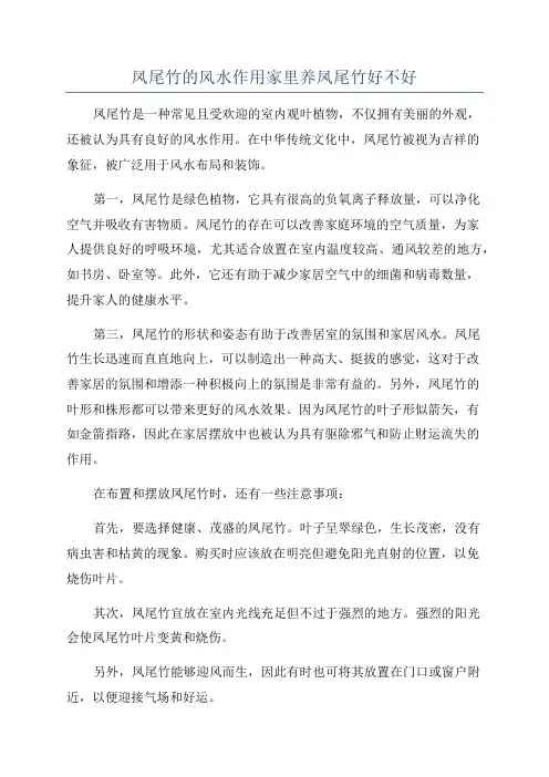 凤尾竹的风水作用家里养凤尾竹好不好