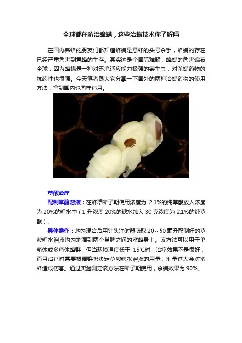 全球都在防治蜂螨，这些治螨技术你了解吗