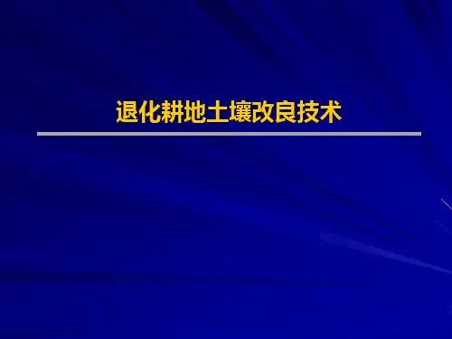 土壤改良培肥与污染治理技术进展培训讲义