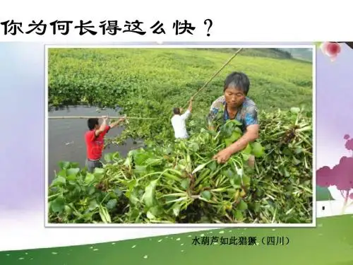 地理课件 水污染及其成因