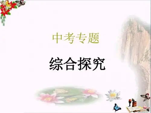 中考专题：综合探究PPT优秀课件