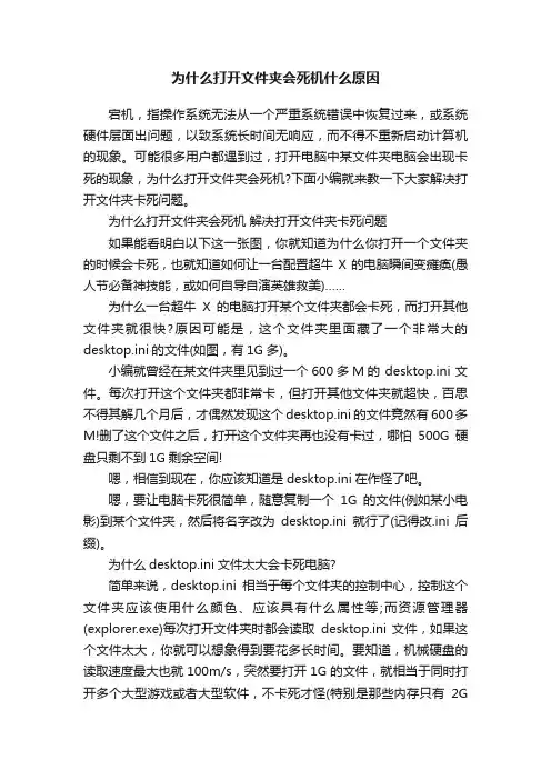 为什么打开文件夹会死机什么原因