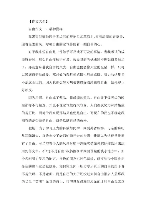 精选高中自由的优秀作文五篇