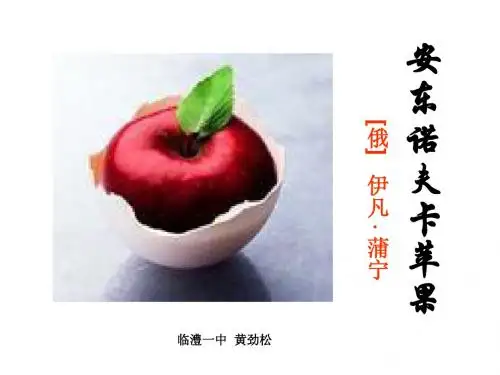 《安东诺夫卡苹果》(外国小说欣赏)精品课件(黄劲松)