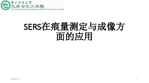 表面增强拉曼光谱用于检测和成像PPT课件