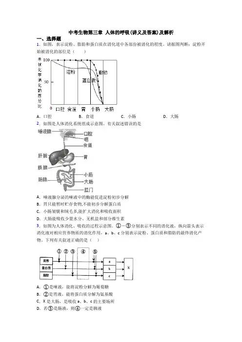 中考生物第三章 人体的呼吸(讲义及答案)及解析