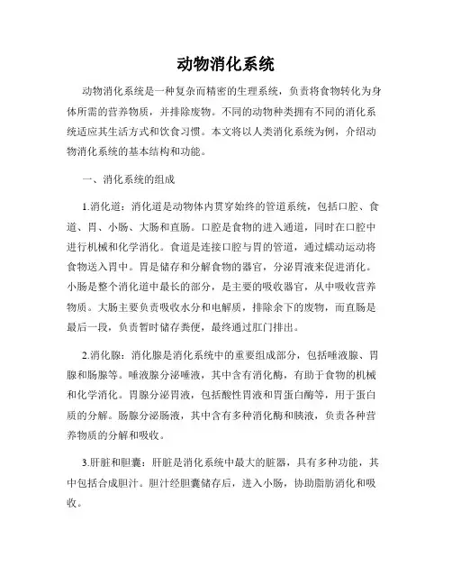 动物消化系统