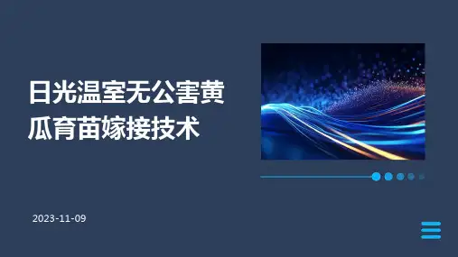 日光温室无公害黄瓜育苗嫁接技术
