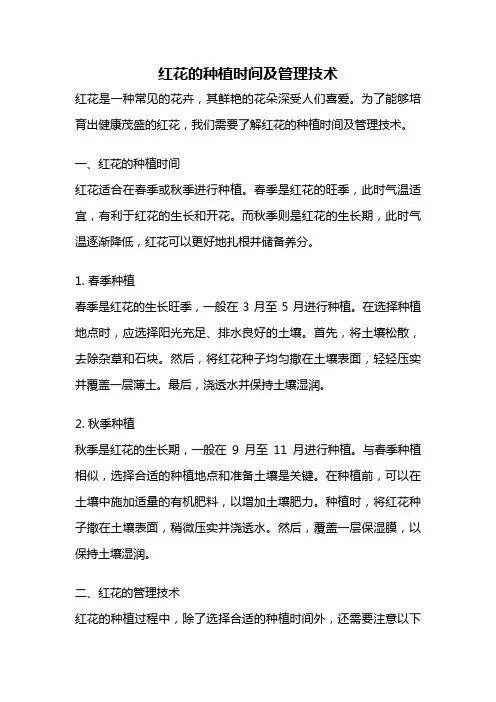 红花的种植时间及管理技术