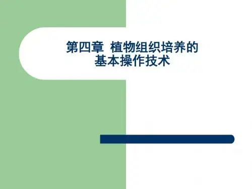 植物组织培养的基本操作技术1器皿