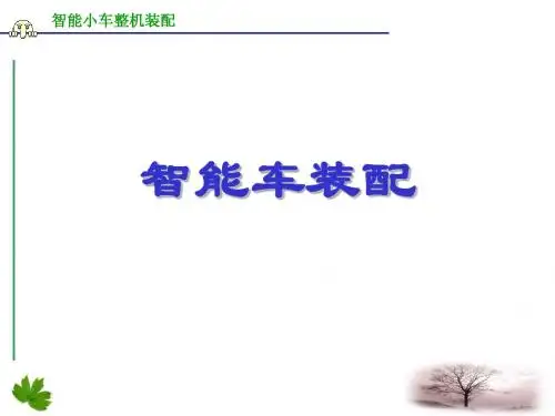 智能车整装