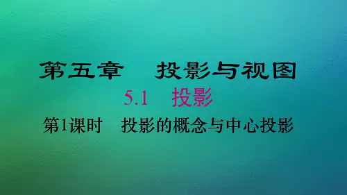 北师大版数学九年级上册5.1 投影课件 