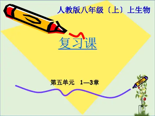 八年级上册生物第5单元1-3章复习课件.