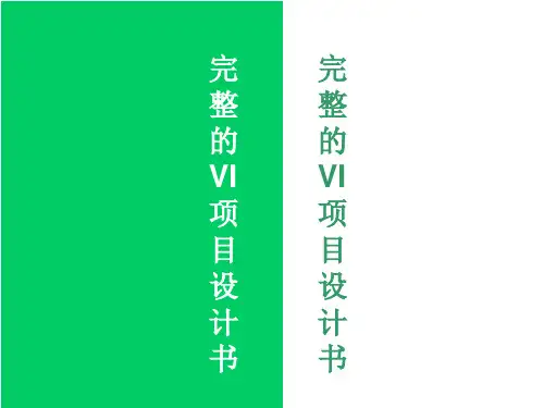 VIS设计规范完全手册