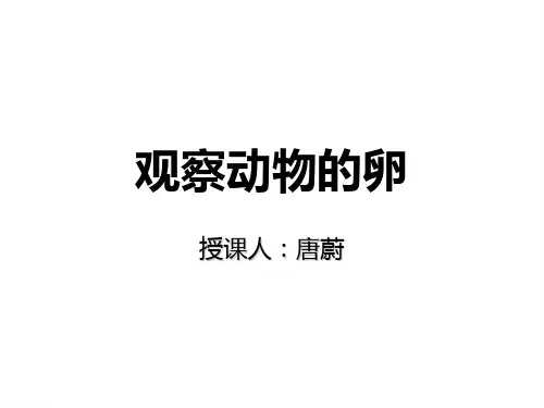 动 物 的 卵