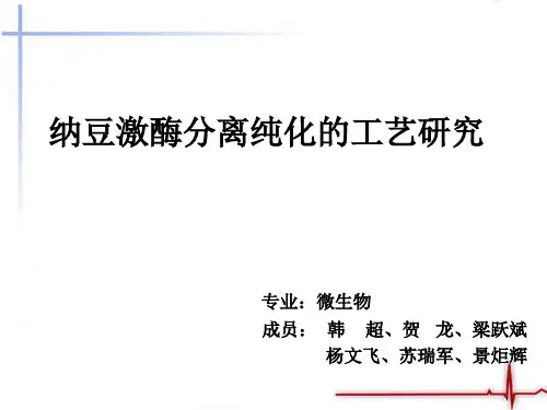 纳豆激酶分离纯化的工艺研究 韩超