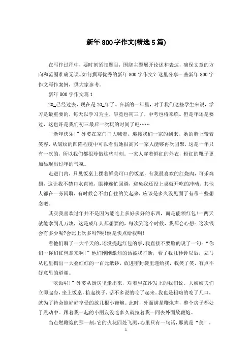 新年800字作文(精选5篇)