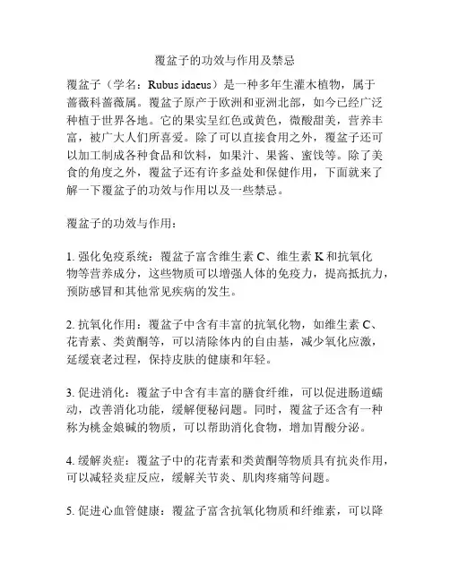 覆盆子的功效与作用及禁忌