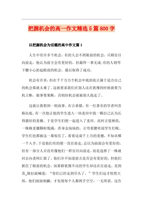 把握机会的高一作文精选5篇800字