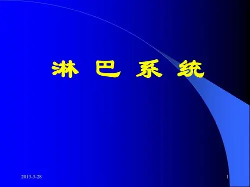 淋 巴 系 统 人体解剖学 系统解剖学