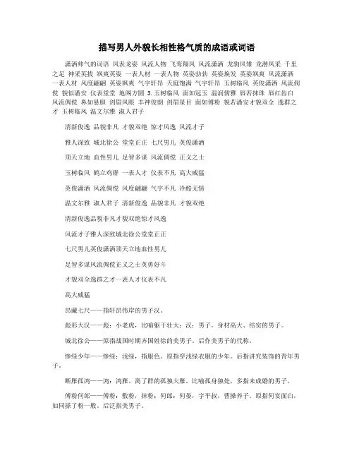 描写男人外貌长相性格气质的成语或词语