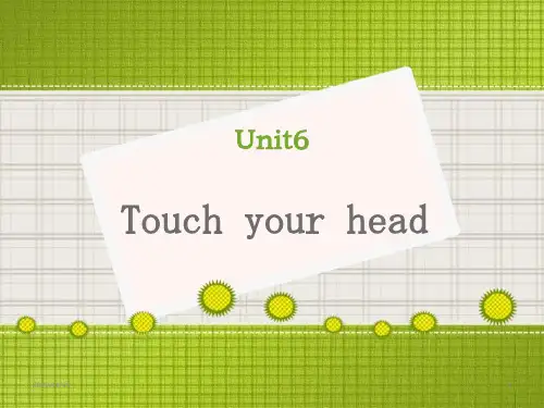 广州版三年级上册英语《Touch your head》精品PPT教学课件 (2)