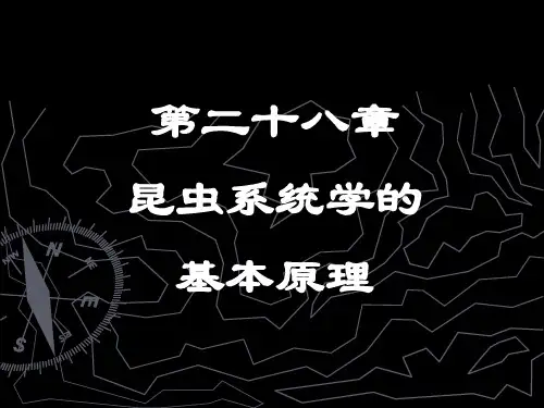昆虫分类学
