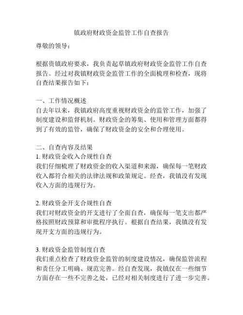 镇政府财政资金监管工作自查报告