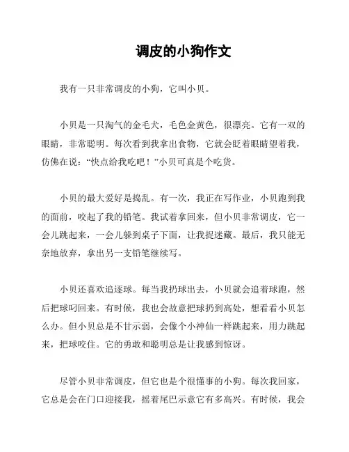 调皮的小狗作文