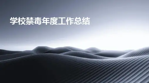 学校禁毒年度工作总结PPT