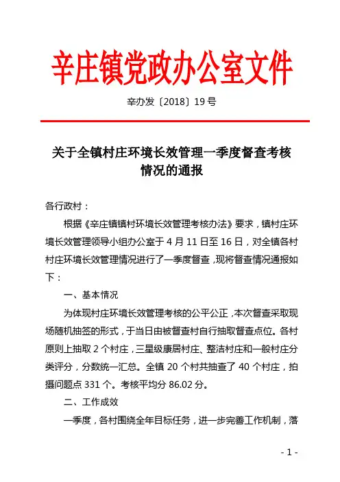 辛庄镇党政办公室文件