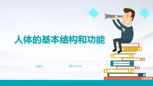 人体的基本结构和功能