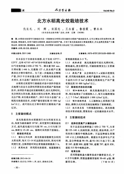 北方水稻高光效栽培技术