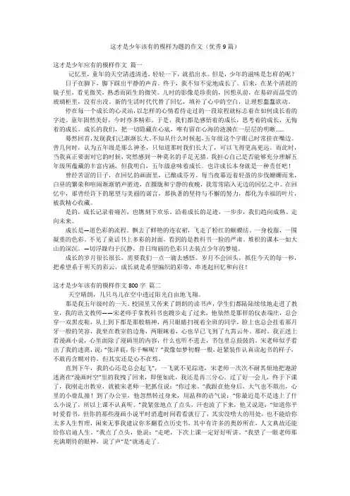 这才是少年该有的模样为题的作文(优秀9篇)