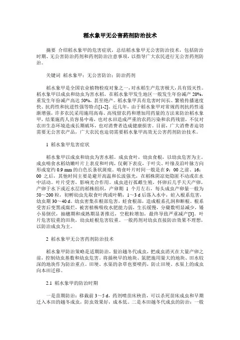 稻水象甲无公害药剂防治技术