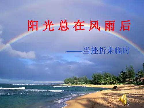 阳光总在风雨后PPT课件