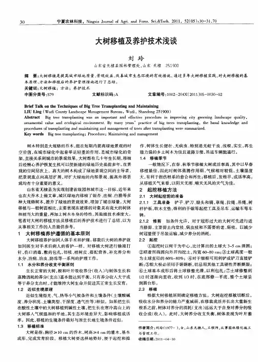 大树移植及养护技术浅谈
