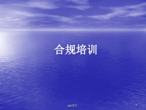 合规与风险培训ppt课件