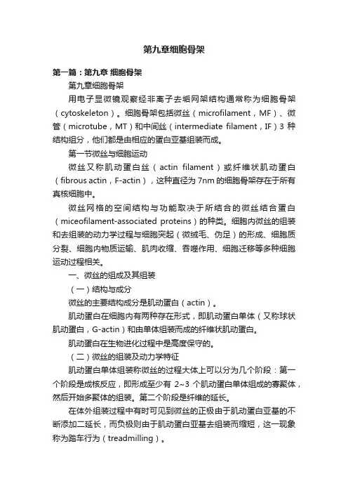 第九章细胞骨架