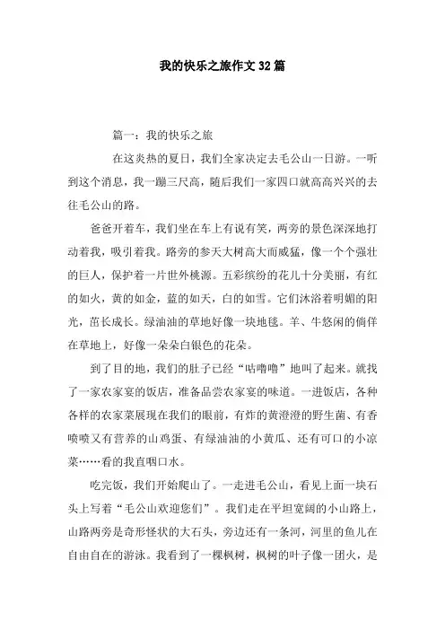 我的快乐之旅作文32篇
