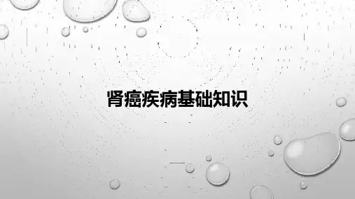 肾癌疾病基础知识