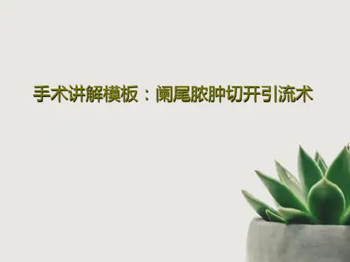 手术讲解模板：阑尾脓肿切开引流术共34页