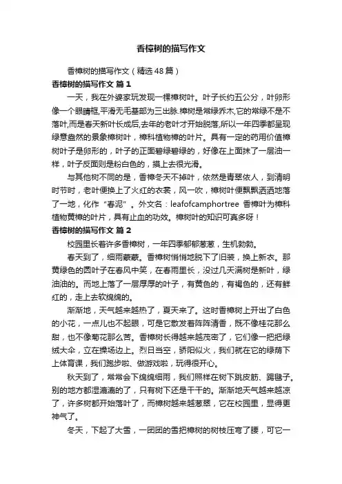 香樟树的描写作文