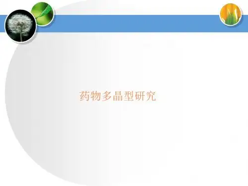 医药多晶型培训PPT课件
